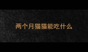 两个月猫猫能吃什么