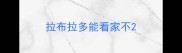 拉布拉多能看家不