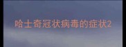哈士奇冠状病毒的症状