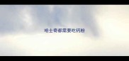 哈士奇都需要吃钙粉