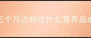 三个月边牧吃什么营养品好
