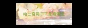 哈士奇鼻子干是看哪里