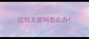 边牧太爱叫怎么办