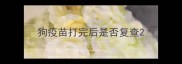 狗疫苗打完后是否复查