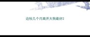 边牧几个月离开大狗最好