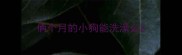 俩个月的小狗能洗澡么