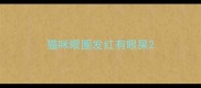猫咪眼圈发红有眼屎