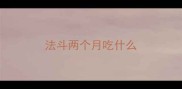 法斗两个月吃什么