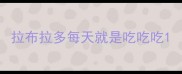 拉布拉多每天就是吃吃吃