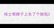 哈士奇脖子上长了个脓包