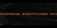 泰迪犬胎毛期护理全攻略最佳剃毛时间与注意事项附对比图