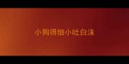小狗得细小吐白沫