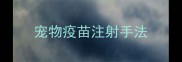 宠物疫苗注射手法