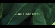 小猫几个月可以驱虫药
