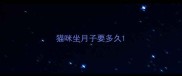 猫咪坐月子要多久