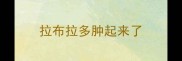 拉布拉多肿起来了