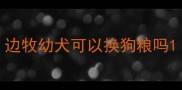边牧幼犬可以换狗粮吗