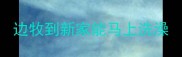 边牧到新家能马上洗澡