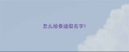 怎么给泰迪取名字