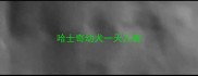 哈士奇幼犬一天几餐