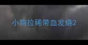 小狗拉稀带血发烧