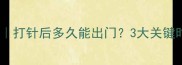 小猫疫苗全攻略打针后多久能出门3大关键时间点必须知道