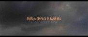 狗狗大便有白色粘稠物