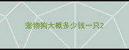 宠物狗大概多少钱一只