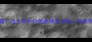 1-6月龄必看哈士奇补钙黄金期全攻略科学养宠不踩雷