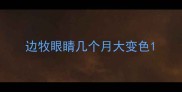 边牧眼睛几个月大变色