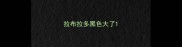 拉布拉多黑色大了