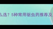猫咪打虫药怎么选5种常用驱虫药推荐及正确使用指南