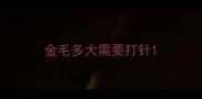 金毛多大需要打针