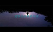 边牧几岁算老年犬