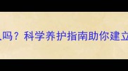 泰迪会忘记主人吗科学养护指南助你建立长久情感纽带