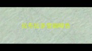 拉布拉多变咖啡色