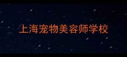 上海宠物美容师学校