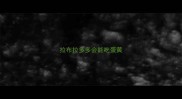 拉布拉多多会能吃蛋黄