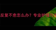 金毛犬感冒反复不愈怎么办专业护理与治疗全指南