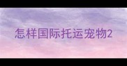 怎样国际托运宠物