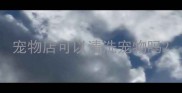 宠物店可以清洗宠物吗