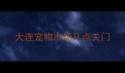 大连宠物市场几点关门