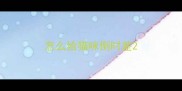 怎么给猫咪倒时差