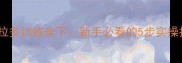 拉布拉多训练坐下新手必看的5步实操指南