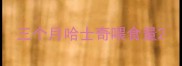 三个月哈士奇喂食量
