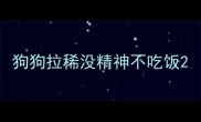 狗狗拉稀没精神不吃饭