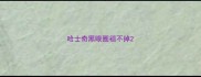 哈士奇黑眼圈褪不掉