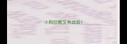 小狗拉稀又有血丝