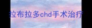 拉布拉多chd手术治疗