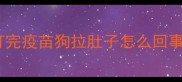 打完疫苗狗拉肚子怎么回事